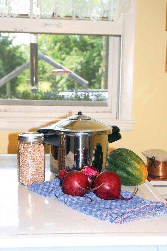 
Reader Deborah Sampson wrote in with concerns about reusing supermarket jars and lids for canning, and recommends always using new lids as a safety precaution. 
